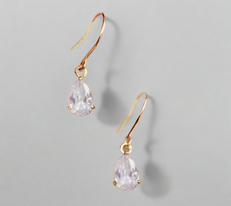 Simple Crystal Dangle Earrings