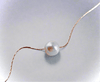 Single Pearl NecklaceOur Single Pearl Necklace embodies sustainable luxury, designed for those who value elegance without compromising the environment. Crafted with mindfulness, this pieSingle Pearl NecklacePearl & PrismPearl & Prism