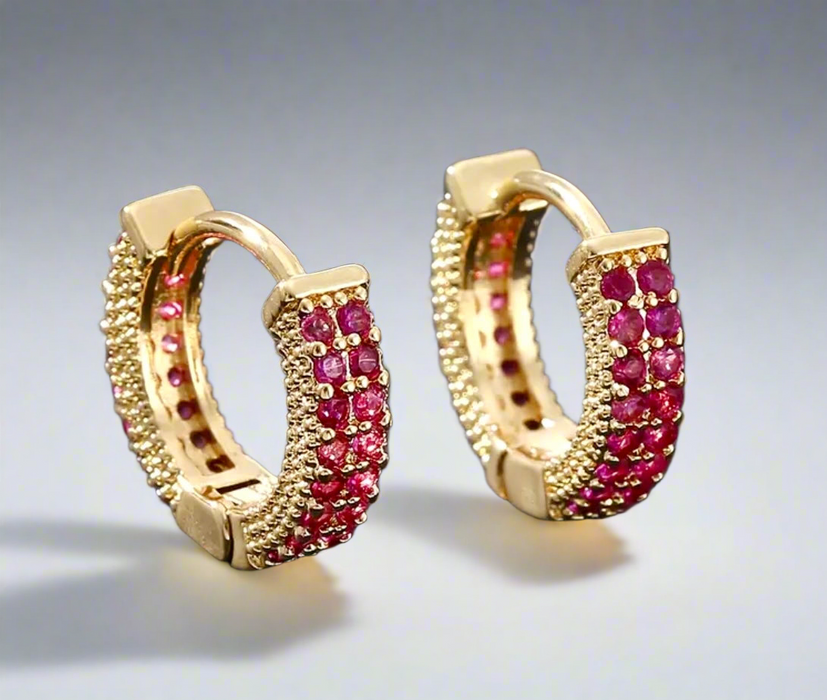 Sophisticated Color Pop Hoops